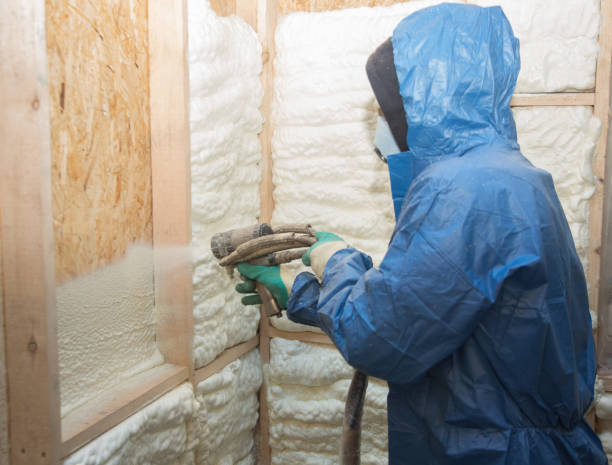 Best Blown-In Insulation  in Elkhorn, WI